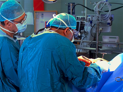 Back Surgery in Arizona Apex Surgeons